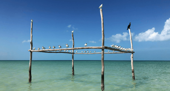 Mexico | Isla Holbox