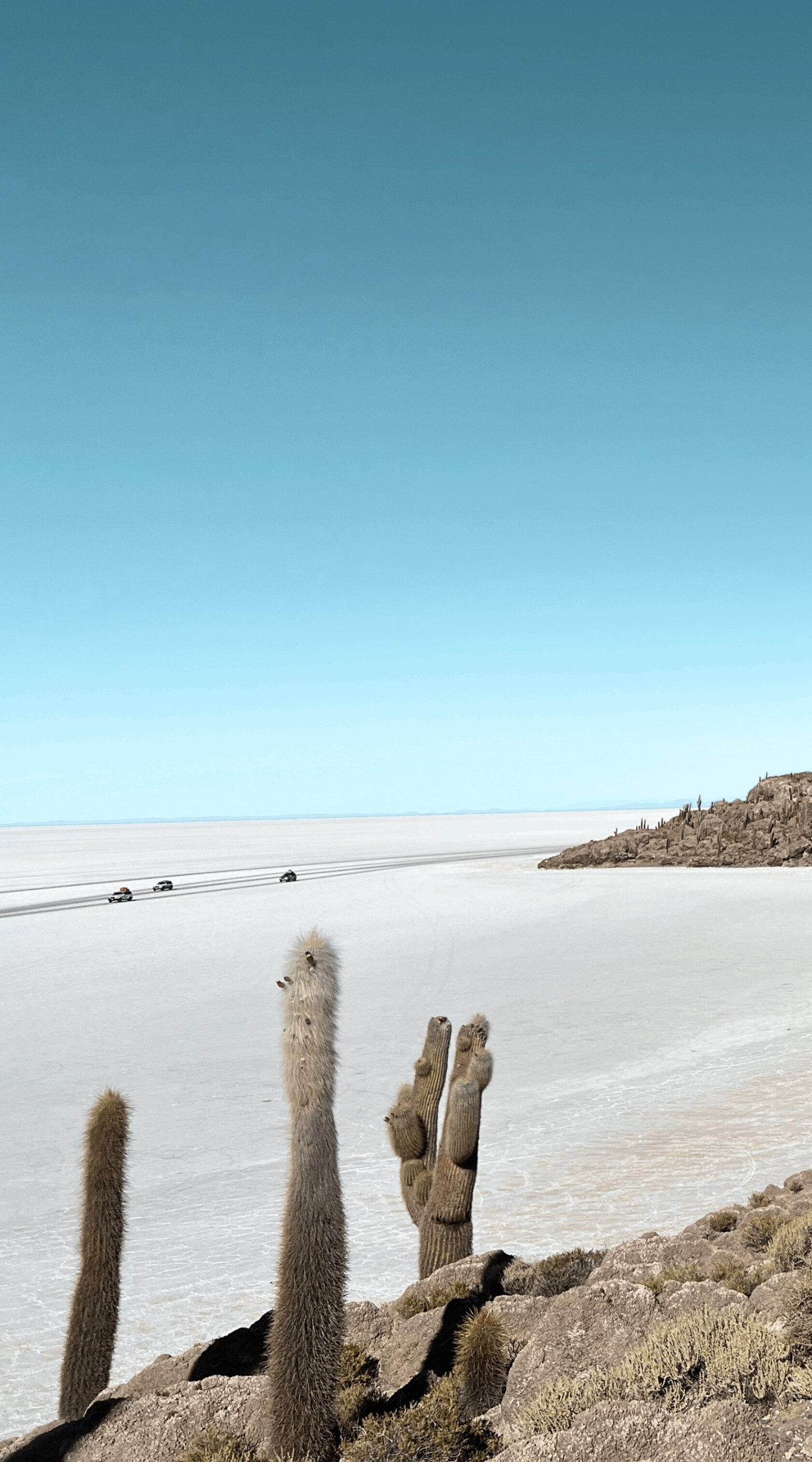 Bolivia zoutvlakte
