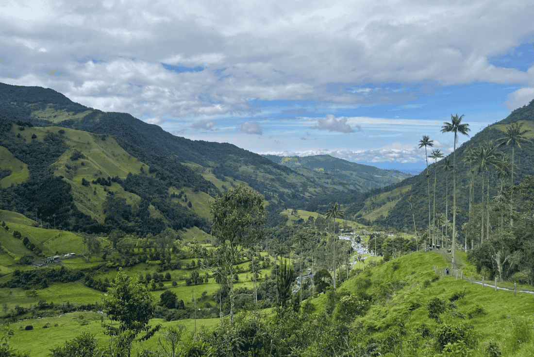 Colombia | Salento | Cocora Vallei