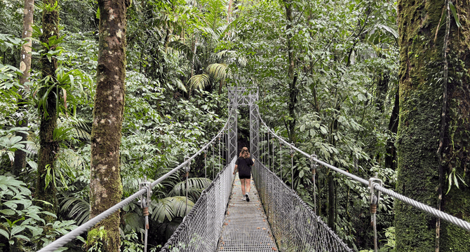 Costa Rica | Monteverde | Hangbruggen
