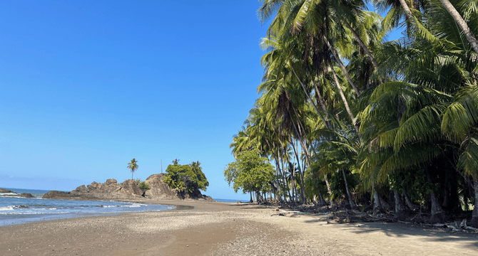 Costa Rica | Uvita | Playa Dominicalito