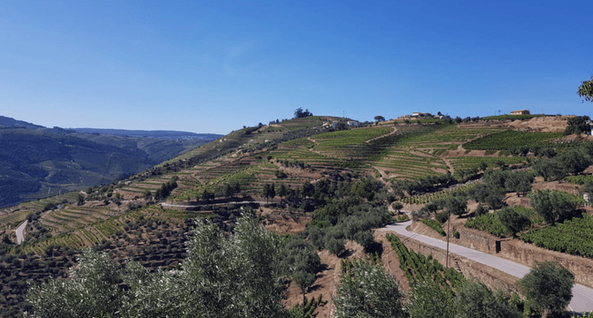 Portugal | Pinhao | Douro vallei