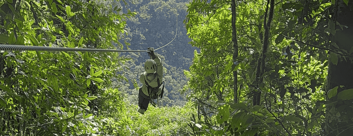 Excursie zipline